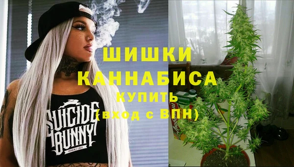 индика Иннополис