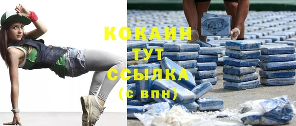 индика Иннополис