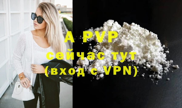 индика Иннополис